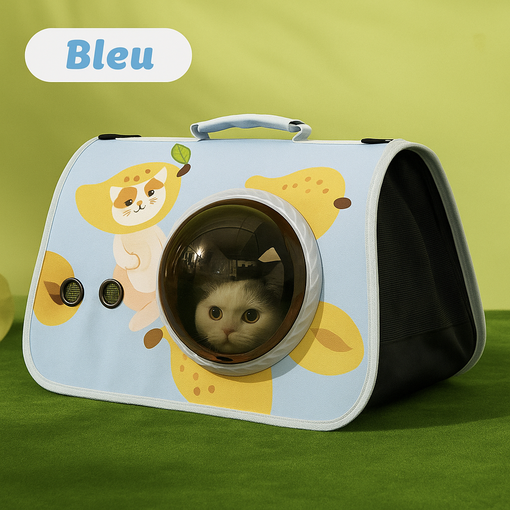 Sac de transport pour chat | aération et rangement facile