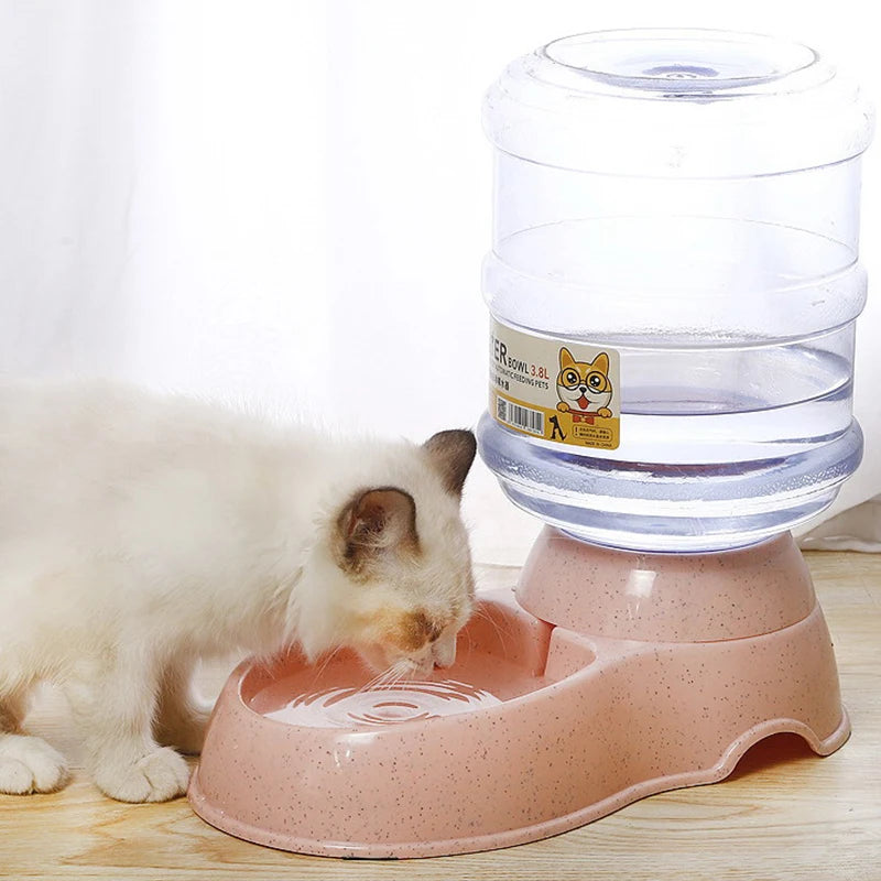 Fantaine -à-eau-pour-chat- pratique