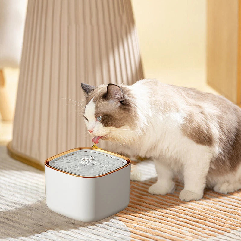 Fontaine -à -eau -pour- chat -automatique