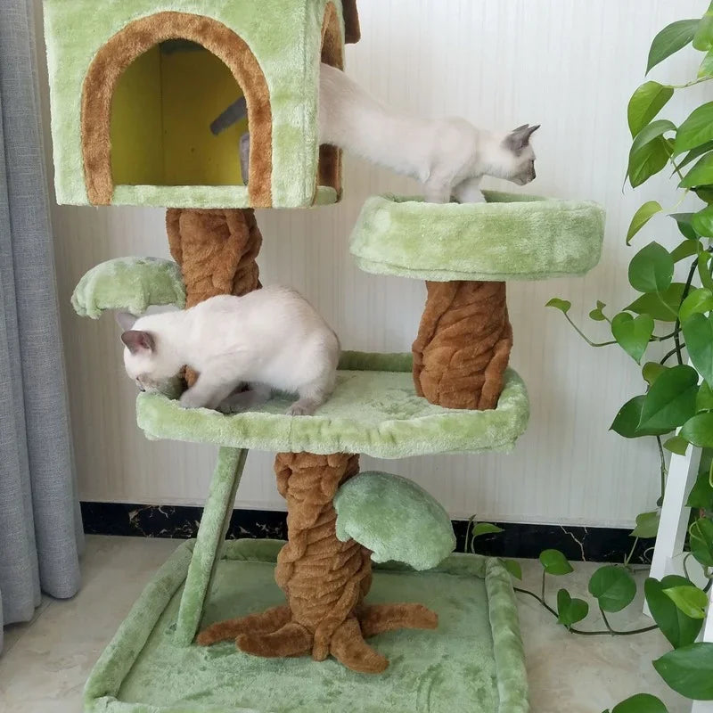 Arbre pour Chat |un refuge ludique