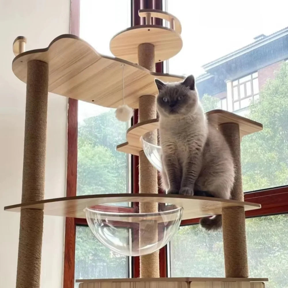 Arbre pour Chat | en Bois Confort et Design