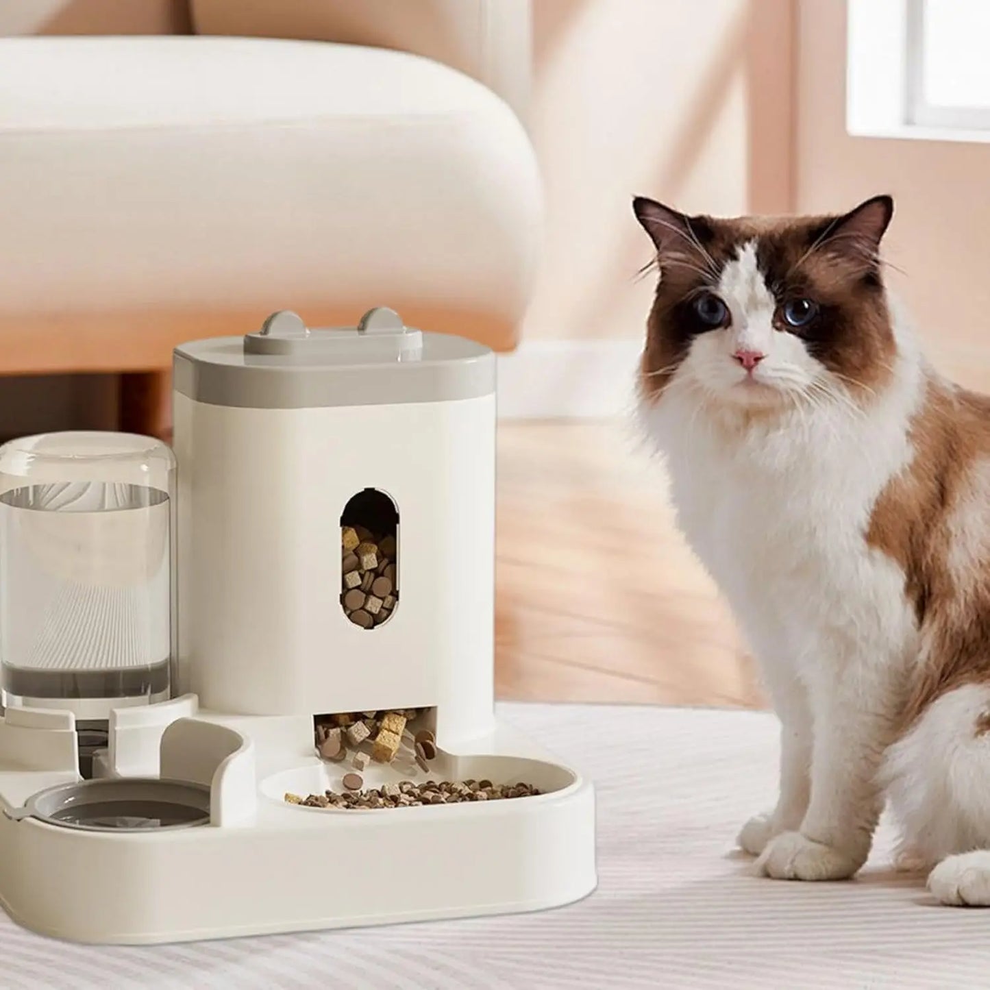Distributeur a croquettes pour chat