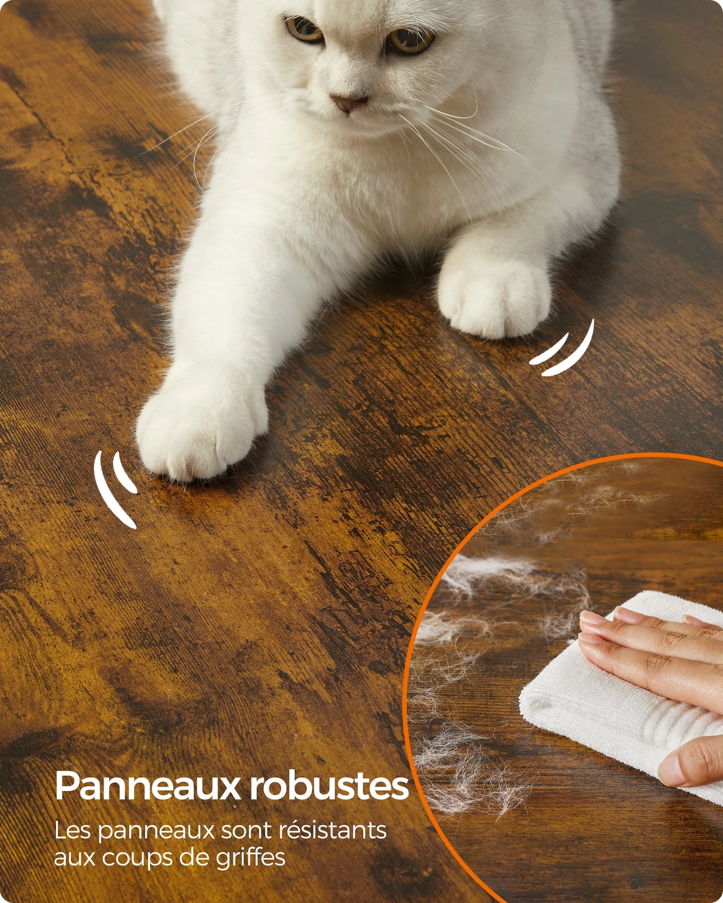 Arbre pour Chat | design élégant