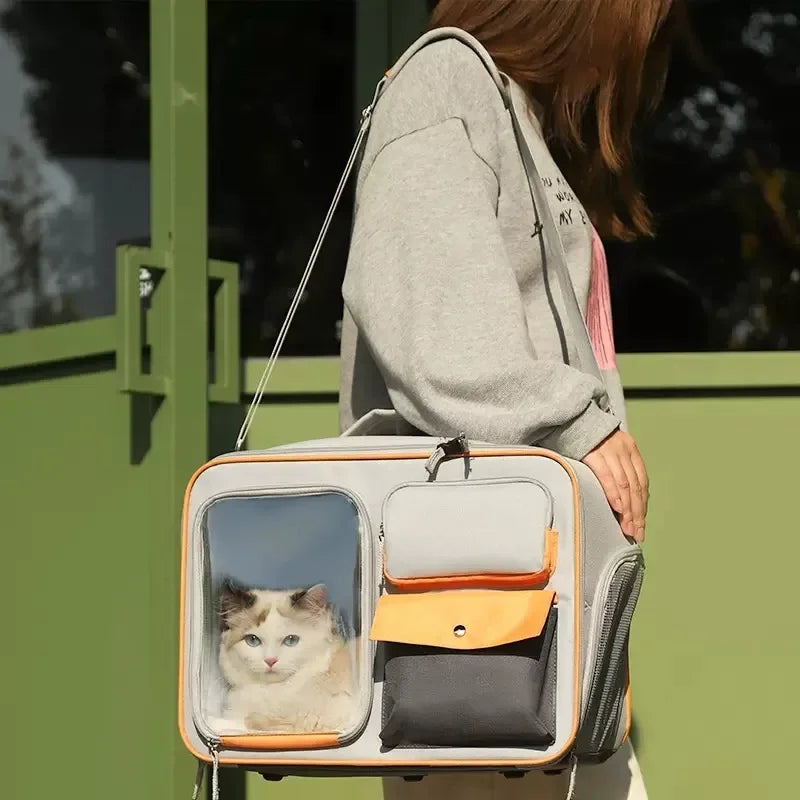 Sac de transport pour chat |multifonctionnel