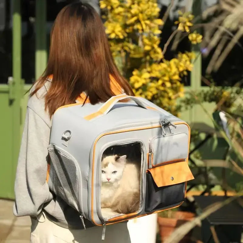 Sac de transport pour chat |multifonctionnel