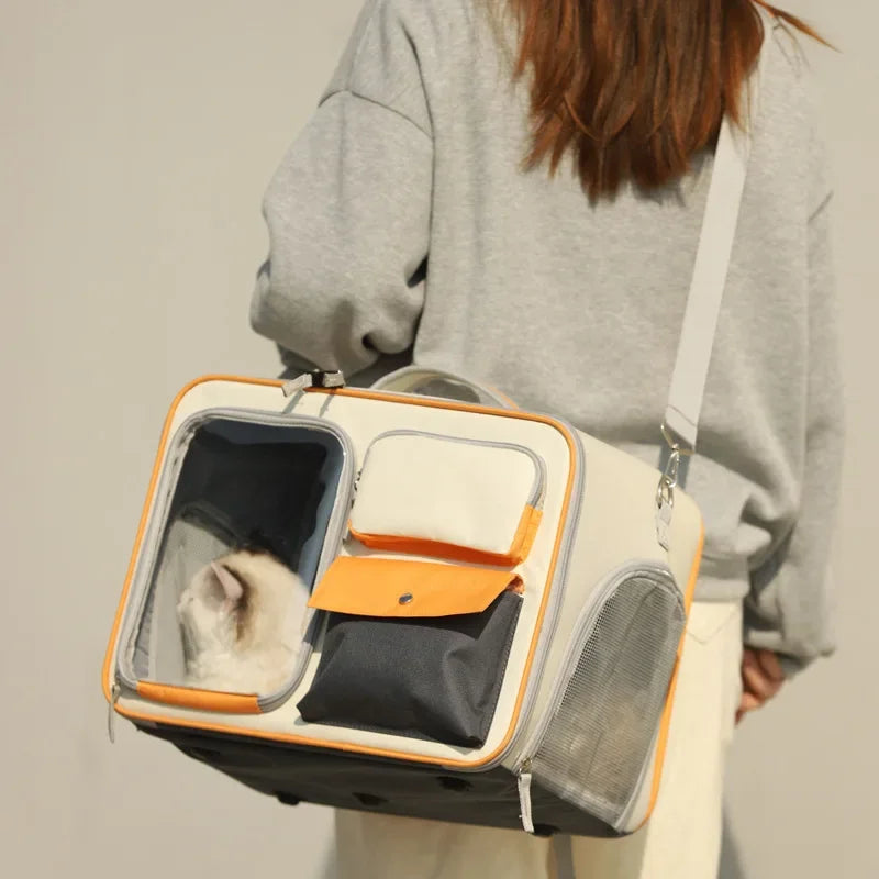 Sac de transport pour chat |multifonctionnel