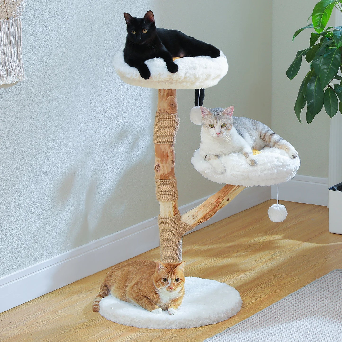 Arbre pour Chat | L’Univers de Jeu