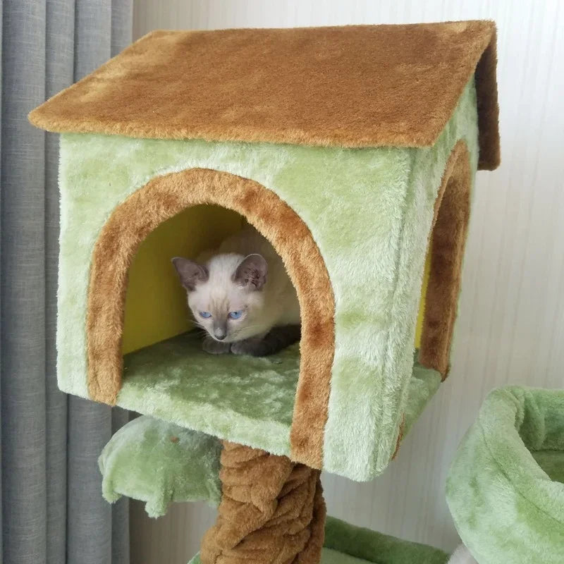 Arbre pour Chat |un refuge ludique