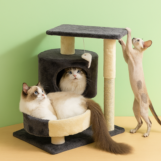 Arbre pour chat  | compact et douillet