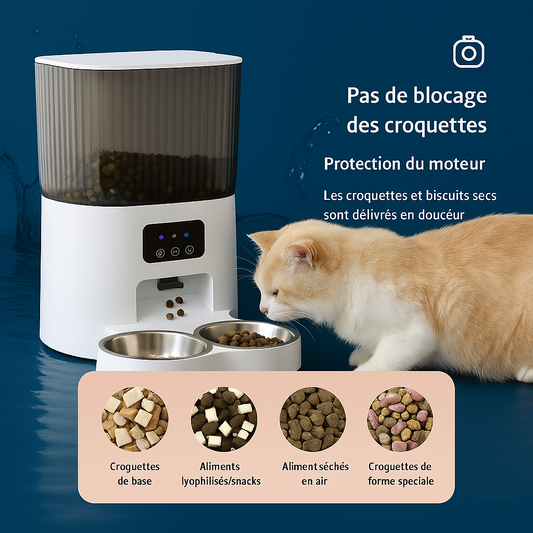 Distributeur- a -croquettes -pour -chat automatique
