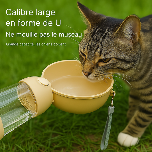 Fantaine-a-eau-pour-chat-portable