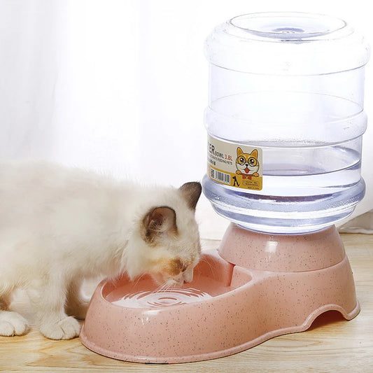 Fantaine -à-eau-pour-chat- pratique