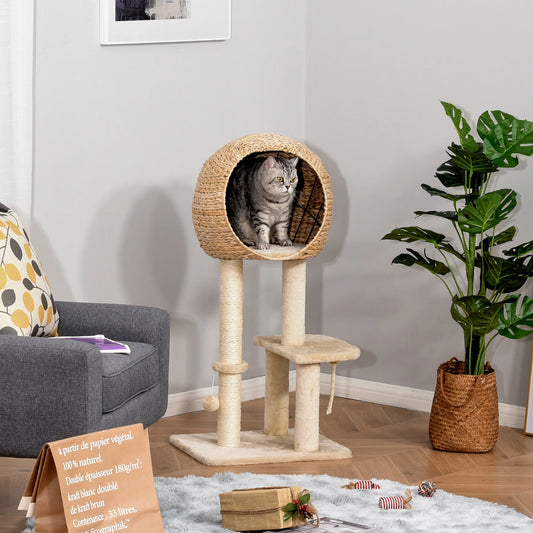 Arbre pour Chat | cabane naturelle